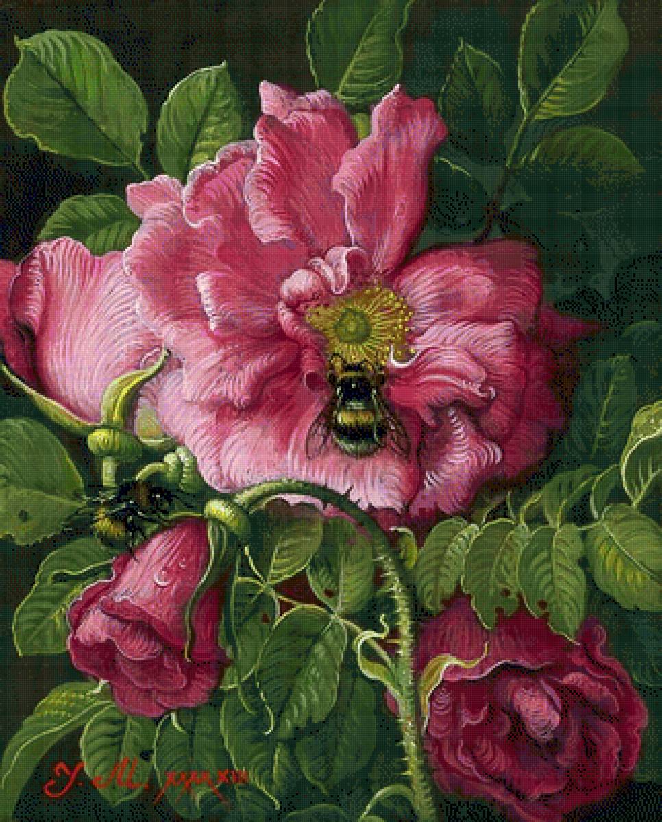 №2500716 - предпросмотр