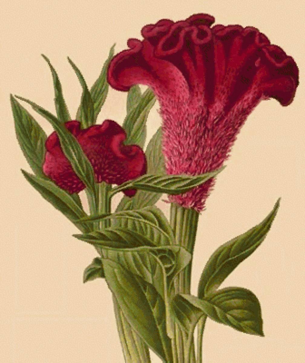 №2501010 - предпросмотр