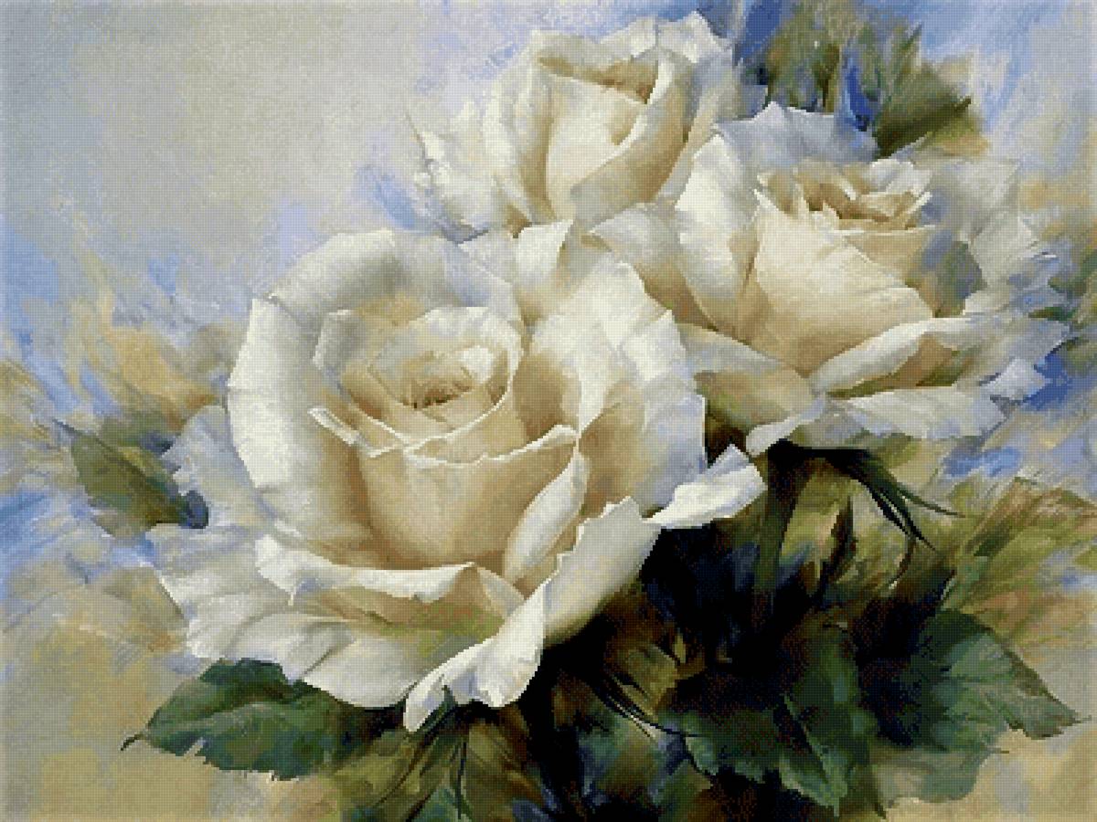 Белые розы - цветы - предпросмотр