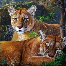 Схема вышивки «Пумы»