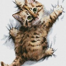 Схема вышивки «Царап»