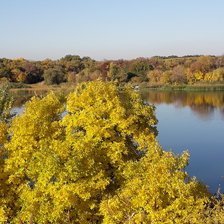 Схема вышивки «Осень»