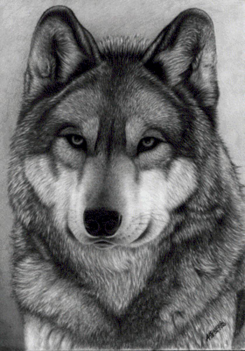 №2501781 - предпросмотр