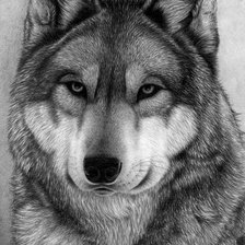 Схема вышивки «№2501781»