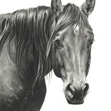 Схема вышивки «№2501790»