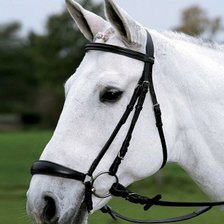 Схема вышивки «конь»