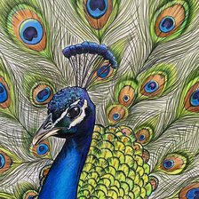 Схема вышивки «№2501943»