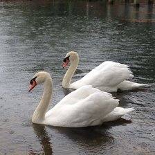 Схема вышивки «№2502123»