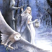 Схема вышивки «Зимняя фея 2»