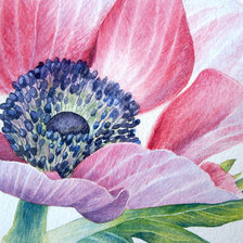 Схема вышивки «АНЕМОН»