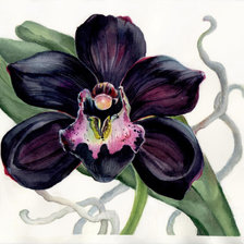 Схема вышивки «ОРХИДЕЯ»