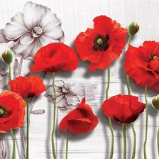 Схема вышивки «маки»