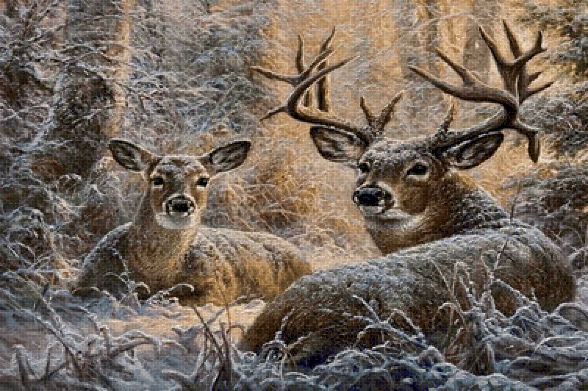 №2502393 - предпросмотр