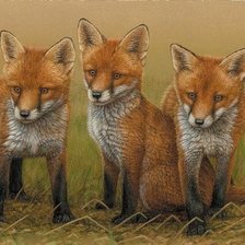 Схема вышивки «№2502395»