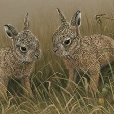 Схема вышивки «№2502397»