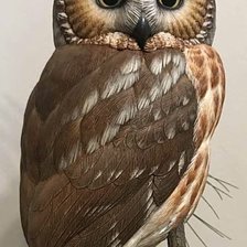 Большеглазая красотка