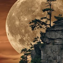 Схема вышивки «Красавица луна»