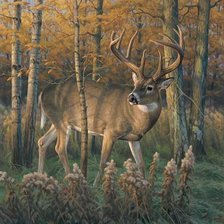 Схема вышивки «№2502548»