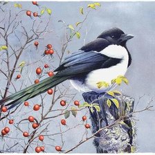 Схема вышивки «№2502552»