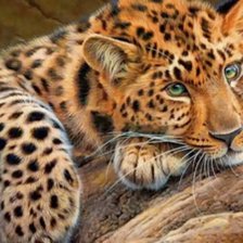 Схема вышивки «Гепард»