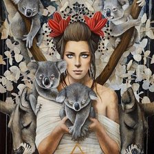 Схема вышивки «софи уилкинс»