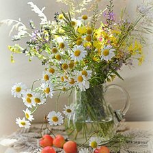 Схема вышивки «№2503081»