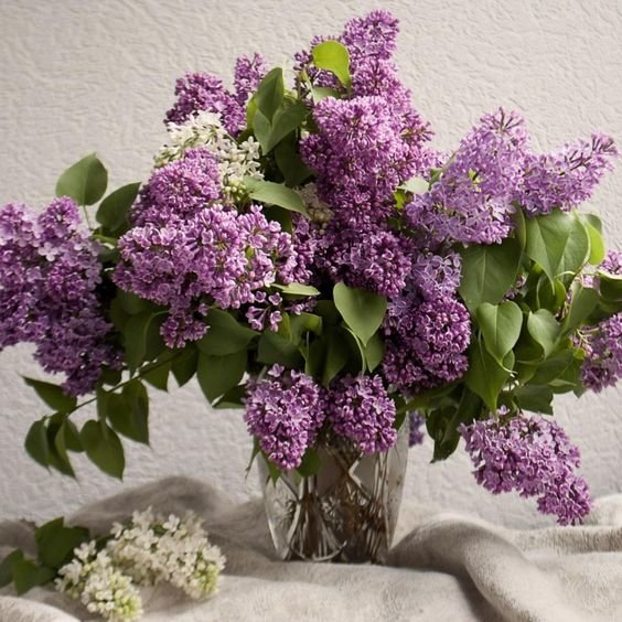 №2503085 - оригинал