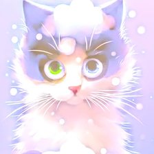 Котенок на снегу