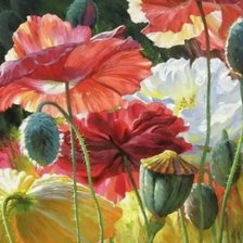 Схема вышивки «Маки»