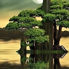 Схема вышивки «Творец- природа»