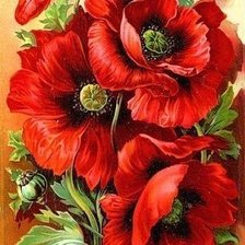 Схема вышивки «Маки»