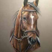 Схема вышивки «№2503924»