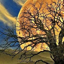 Схема вышивки «Сказки природы»