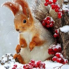 Схема вышивки «№2504160»