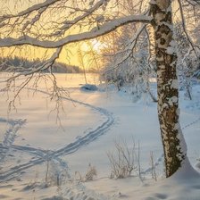 Схема вышивки «№2504183»