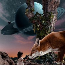 ночное небо