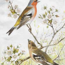 Схема вышивки «№2504380»