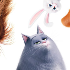 Тайная жизнь домашних животных