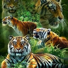 Схема вышивки «Тигры»