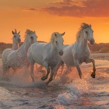 Схема вышивки «№2504889»