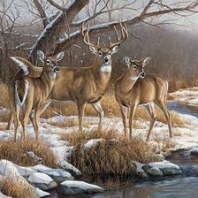 Схема вышивки «Олени у реки.»