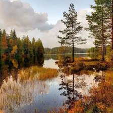 Схема вышивки «Пейзаж»