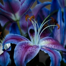 Схема вышивки «Букет»