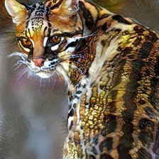 Схема вышивки «Кошки»