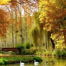 Схема вышивки «Лес»