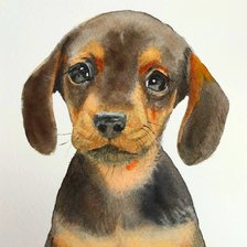 Схема вышивки «Такса щенок»