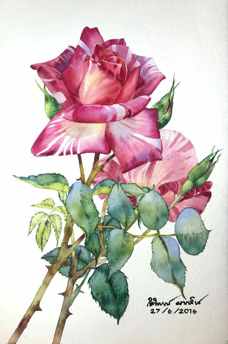 Розы - розы - оригинал