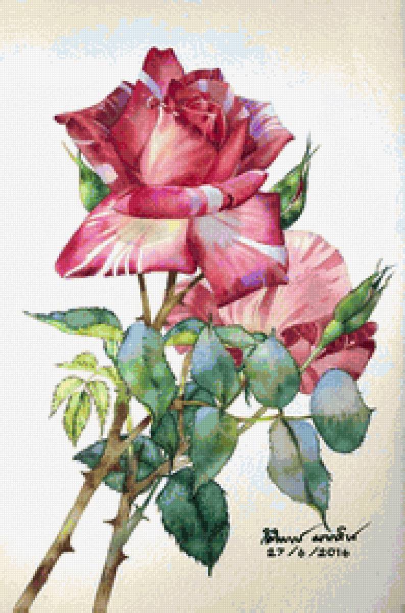 Розы - розы - предпросмотр