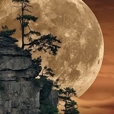 Схема вышивки «Пейзаж»