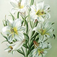 Схема вышивки «Лилии»